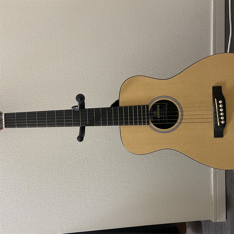 MARTIN LXMの画像
